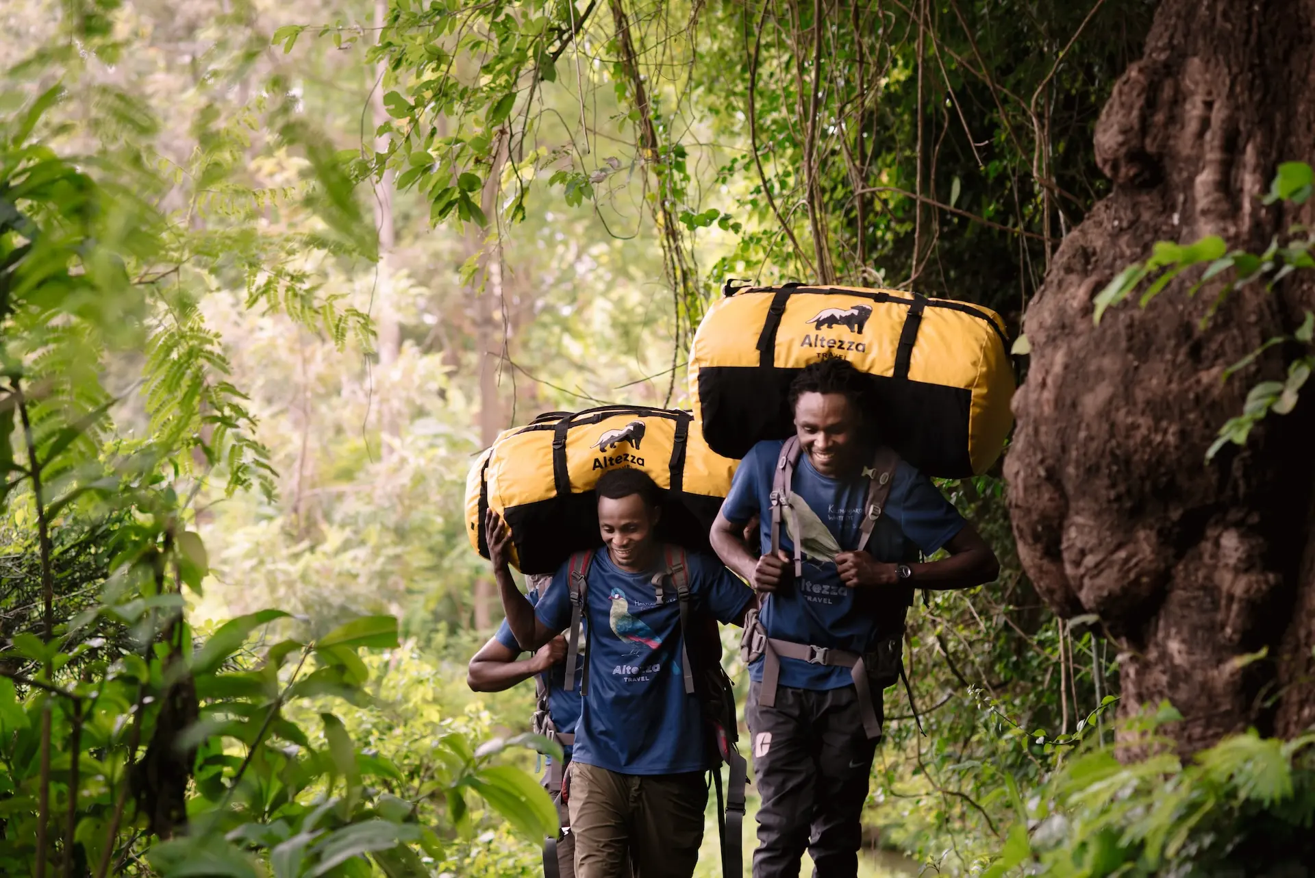 Träger am Kilimandscharo sind für jede Expedition unverzichtbar