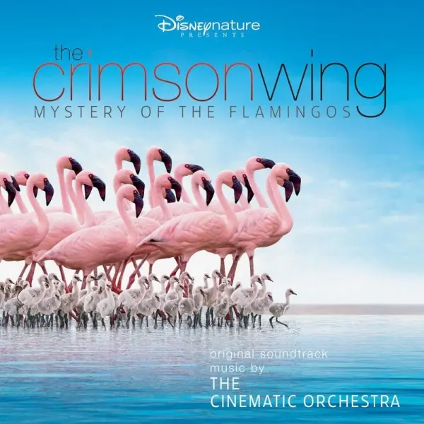 Cover des Dokumentarfilms "The Crimson Wing: Mystery of the Flamingos"