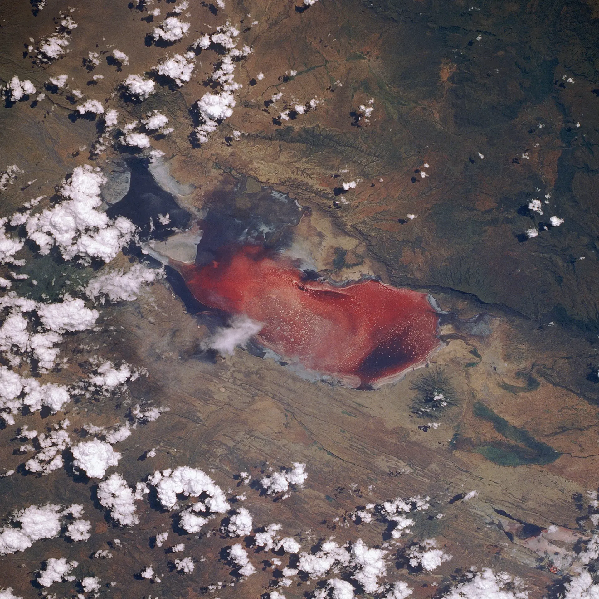 Der Natronsee, manchmal "der tödliche rote See" genannt, aufgenommen vom Space Shuttle Discovery während der Mission STS-29. Foto: NASA