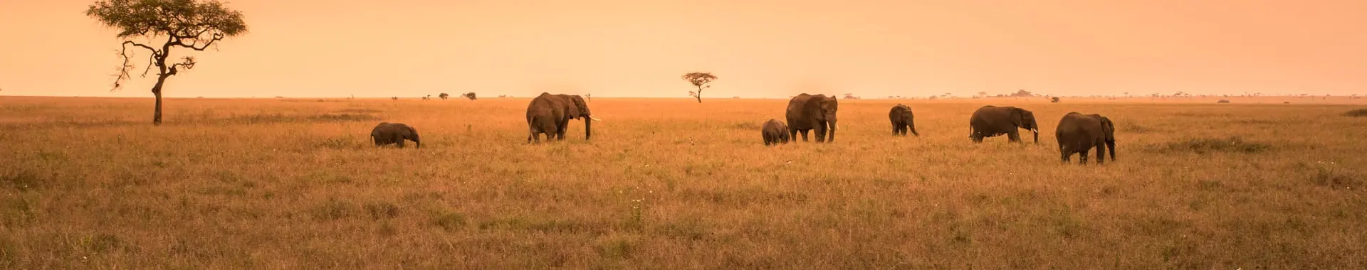 Nationalpark Nyerere (Selous) Nationalpark Nyerere (Selous)