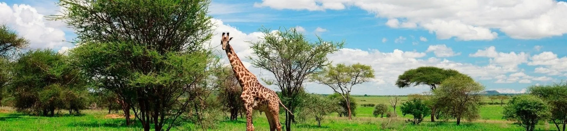 Nationalpark Arusha