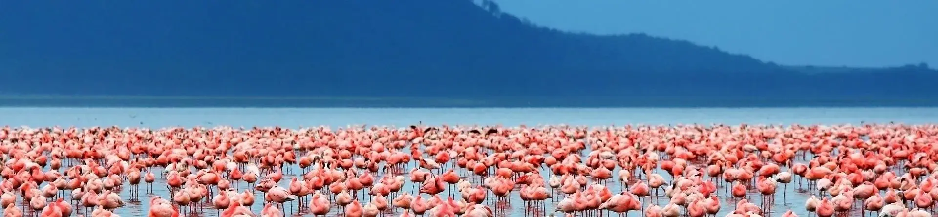 Manyara-See