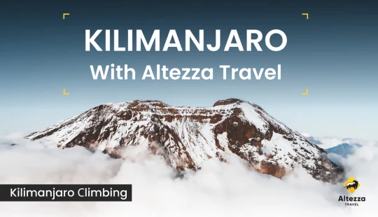Kilimandscharo besteigen: wichtige Informationen | Altezza Travel