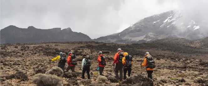 Northern Circuit-Route - Tag 4 - Trekking von Shira 2 zur Moir Hut via Lava Tower