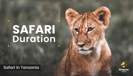 Safari planen: Wie viele Tage brauchen Sie?