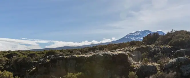 Marangu-Route - Tag 3 - Trekking von der Mandara Hut zur Horombo Hut