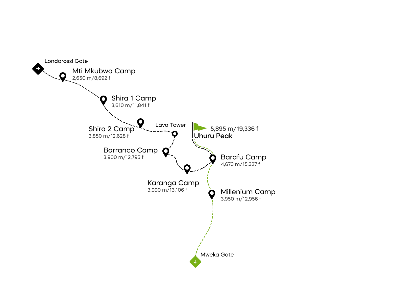 Lemosho-Route – 8 Tage