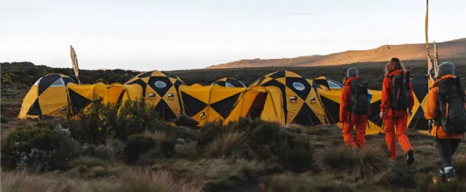 Lemosho-Route - Tag 3 - Trekking vom Shira 1 Camp zum Shira 2 Camp