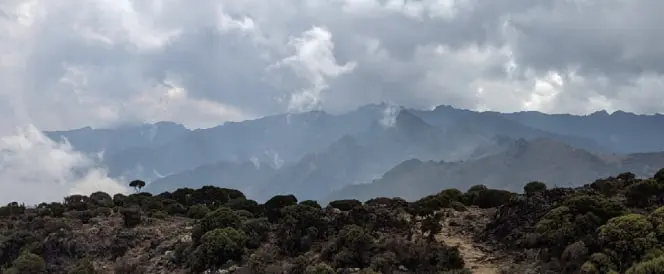 Umbwe-Route - Tag 3 - Trekking vom Umbwe Camp zum Barranco Camp
