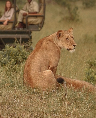 Nationalpark Serengeti