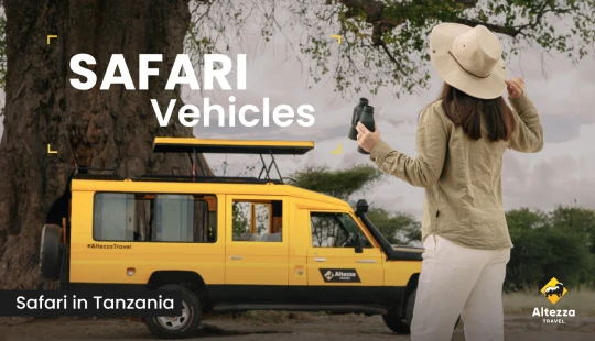 Was ein gutes Safarifahrzeug ausmacht